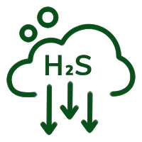icon H2S
